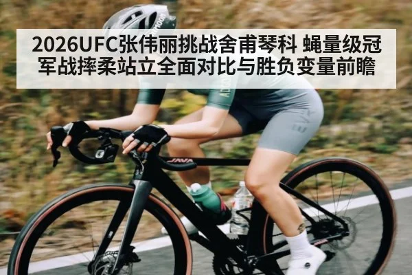 2026UFC张伟丽挑战舍甫琴科 蝇量级冠军战摔柔站立全面对比与胜负变量前瞻